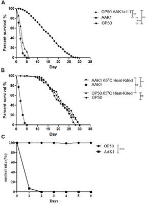 A Disease Model of Muscle Necrosis Caused by Aeromonas dhakensis Infection in Caenorhabditis elegans